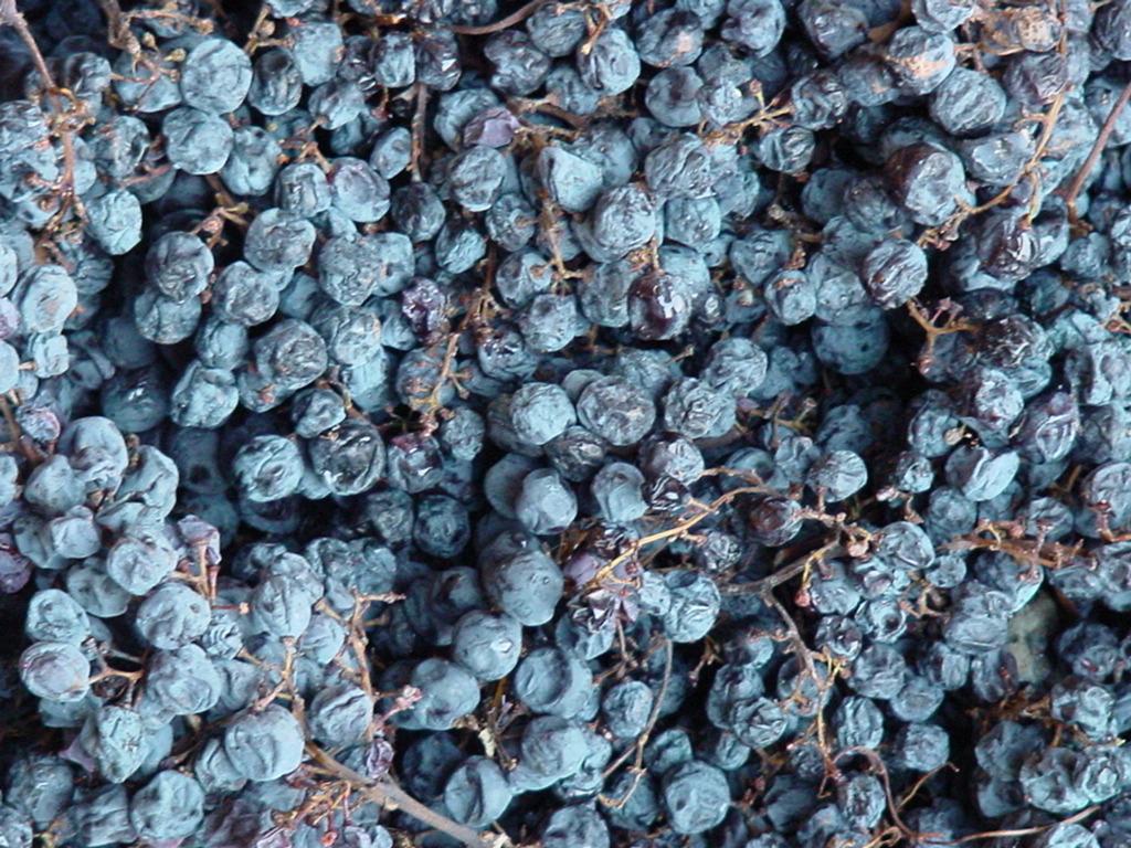 Amarone-Grapes_Simply-The-Best.jpg